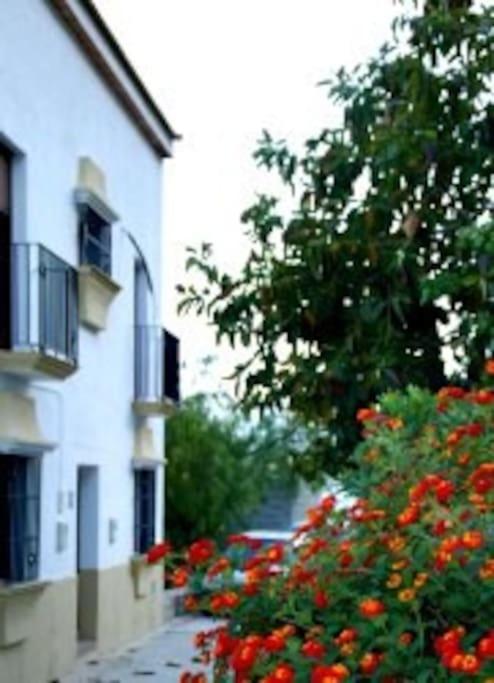 알고도날레스 Eagles Nest - Massive Townhouse With Pool With Outstanding Views 빌라 외부 사진